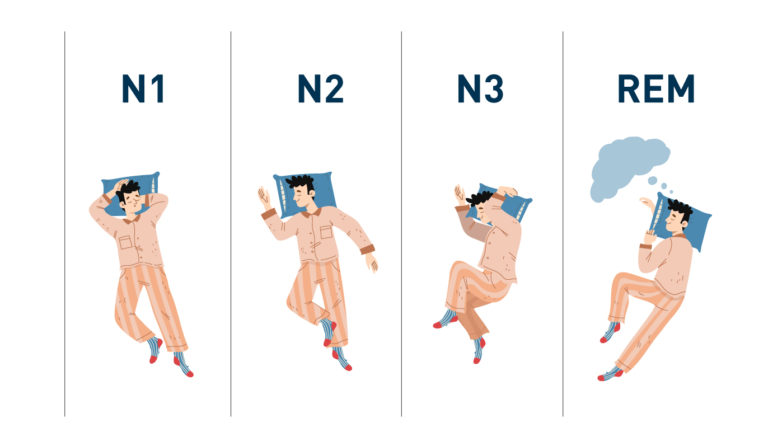 stages of sleep